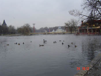 Hungary - duck pond