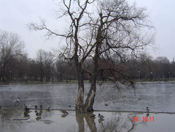 Hungary - we went for a walk
