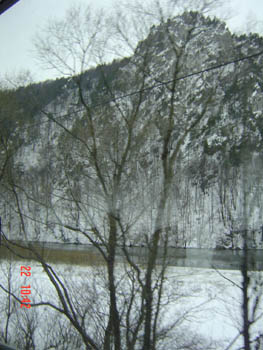 View from the bus