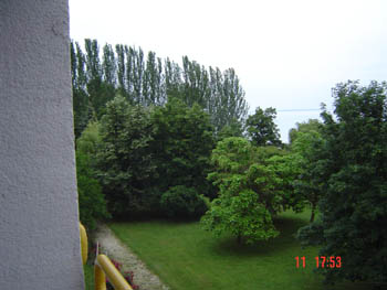 The view from my room 02 002