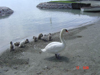 What a lovely family 026