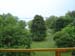 The view from my room 
