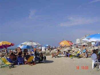Beach Scene