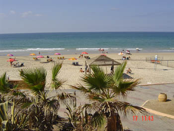 Lifes a beach