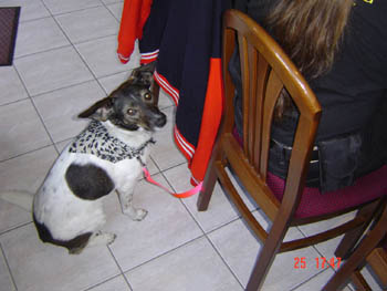 Charlottes new friend 017