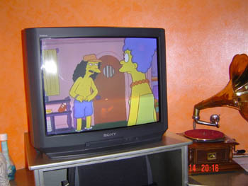 Stop everything the Simpsons are on