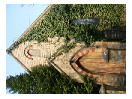 thumbnail22